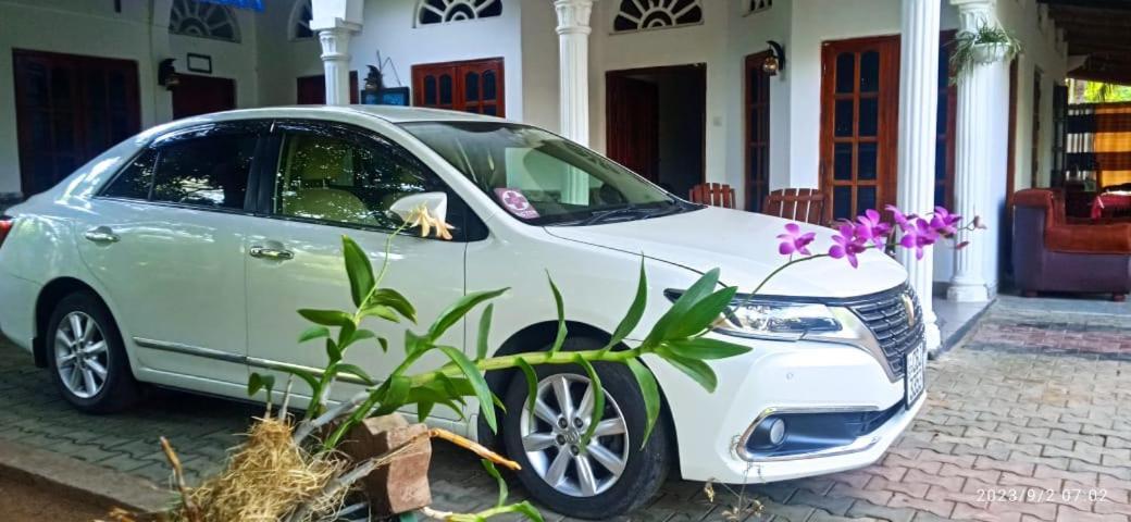 Sidhangana Home Stay Anuradhapura Exteriör bild