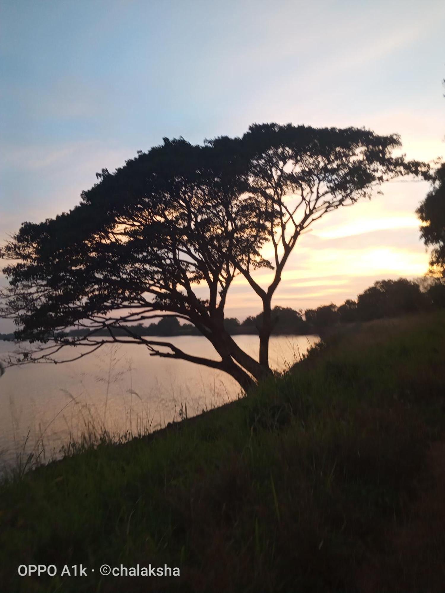 Sidhangana Home Stay Anuradhapura Exteriör bild